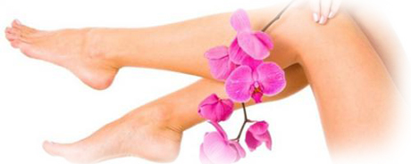 Lavande Wellness
